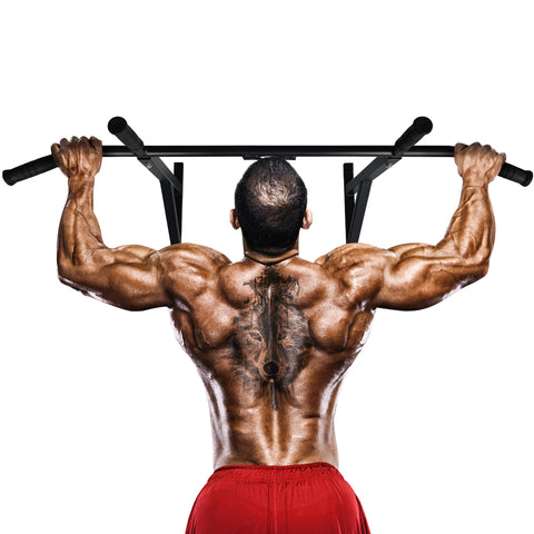 Wall Mounted Pull Up Bar