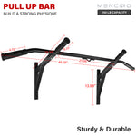 Wall Mounted Pull Up Bar