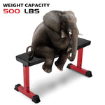 Flat Bench Red