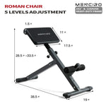 Roman Chair