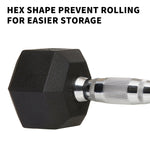 Rubber Hex Dumbbell Set 20lb Pairs